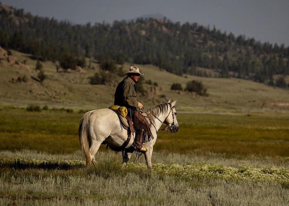 From Field To Fork: How America's Farming Revolution Affects Your Plate 